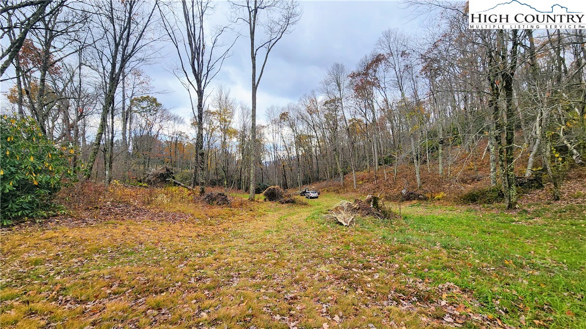 Tbd Tower Road Property Photo 9