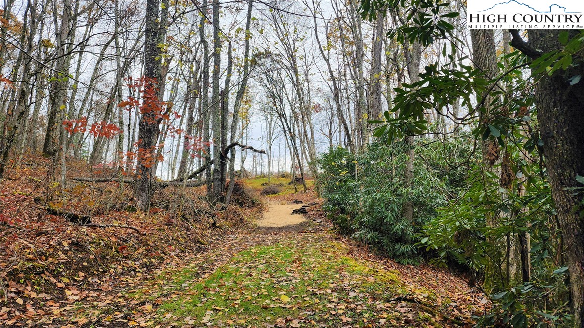 Tbd Tower Road Property Photo 17