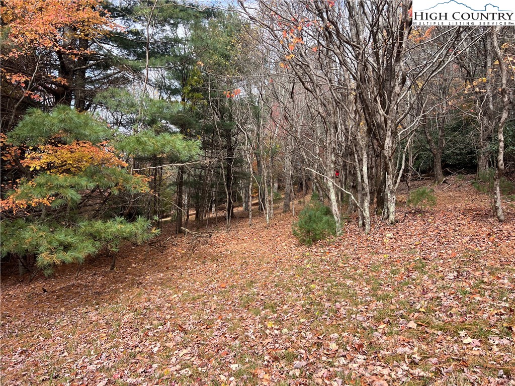 Tbd Heritage Ridge Road Property Photo 3