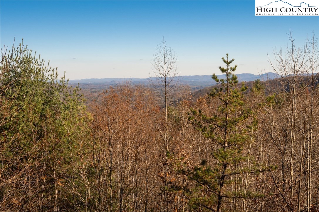 414 Elk Horn Road Property Photo 17