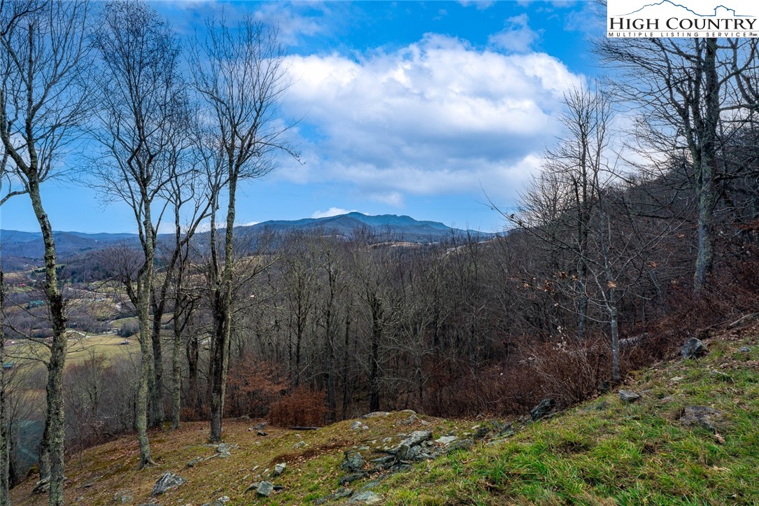 Lot 36/37 Long View Road Property Photo 1