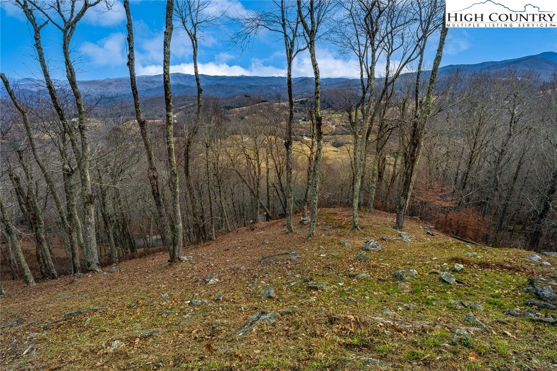 Lot 36/37 Long View Road Property Photo 2