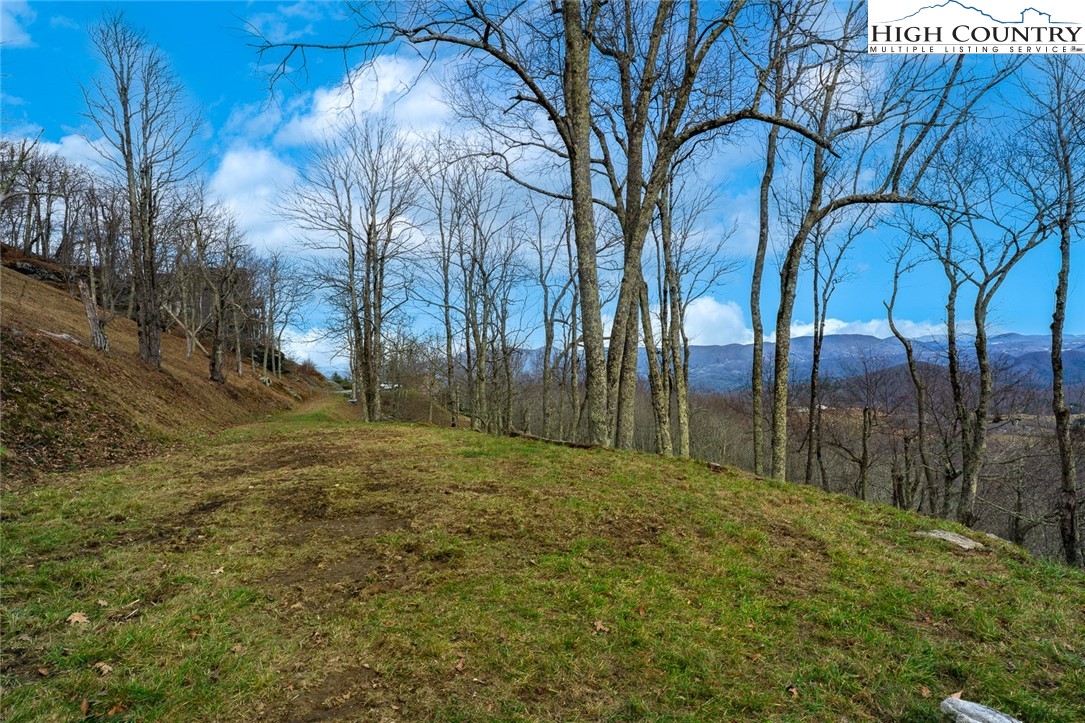 Lot 36/37 Long View Road Property Photo 6