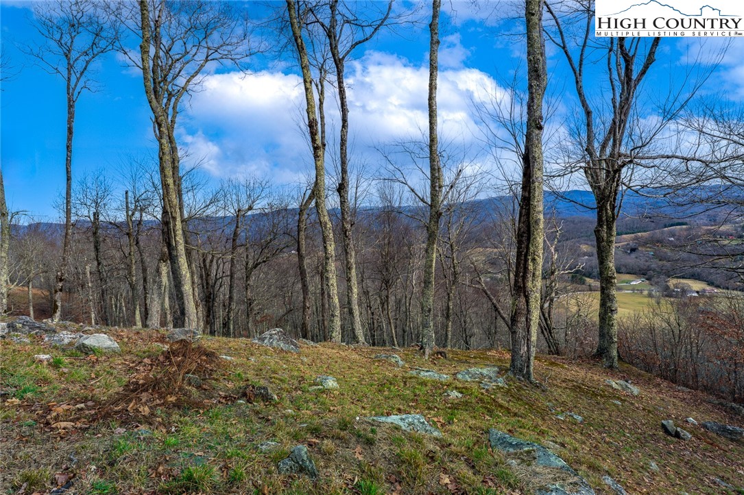 Lot 36/37 Long View Road Property Photo 7