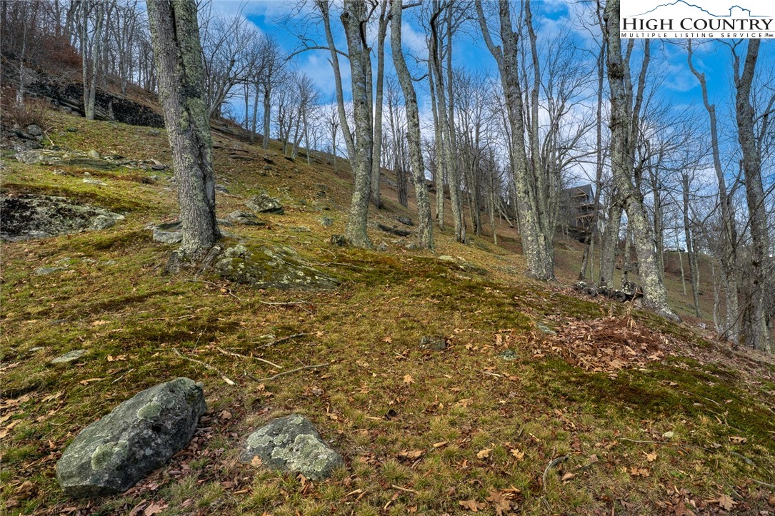 Lot 36/37 Long View Road Property Photo 8