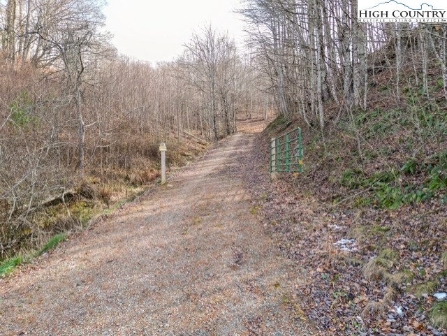 Tbd Fred Wallace Road Property Photo 1