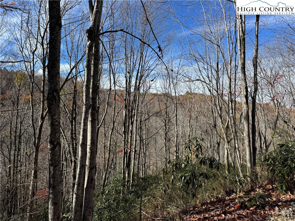 Tbd Lot #19 Ridgecrest Circle Property Photo 3
