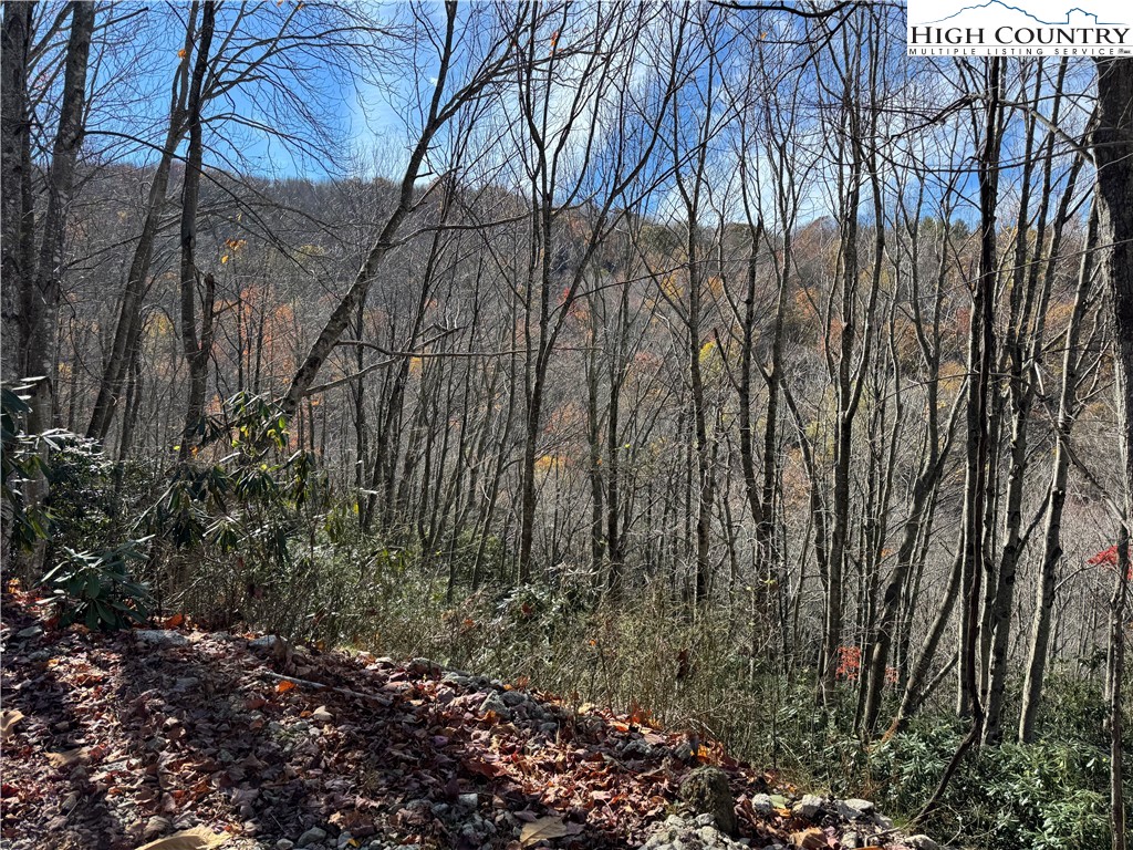 Tbd Lot #19 Ridgecrest Circle Property Photo 4