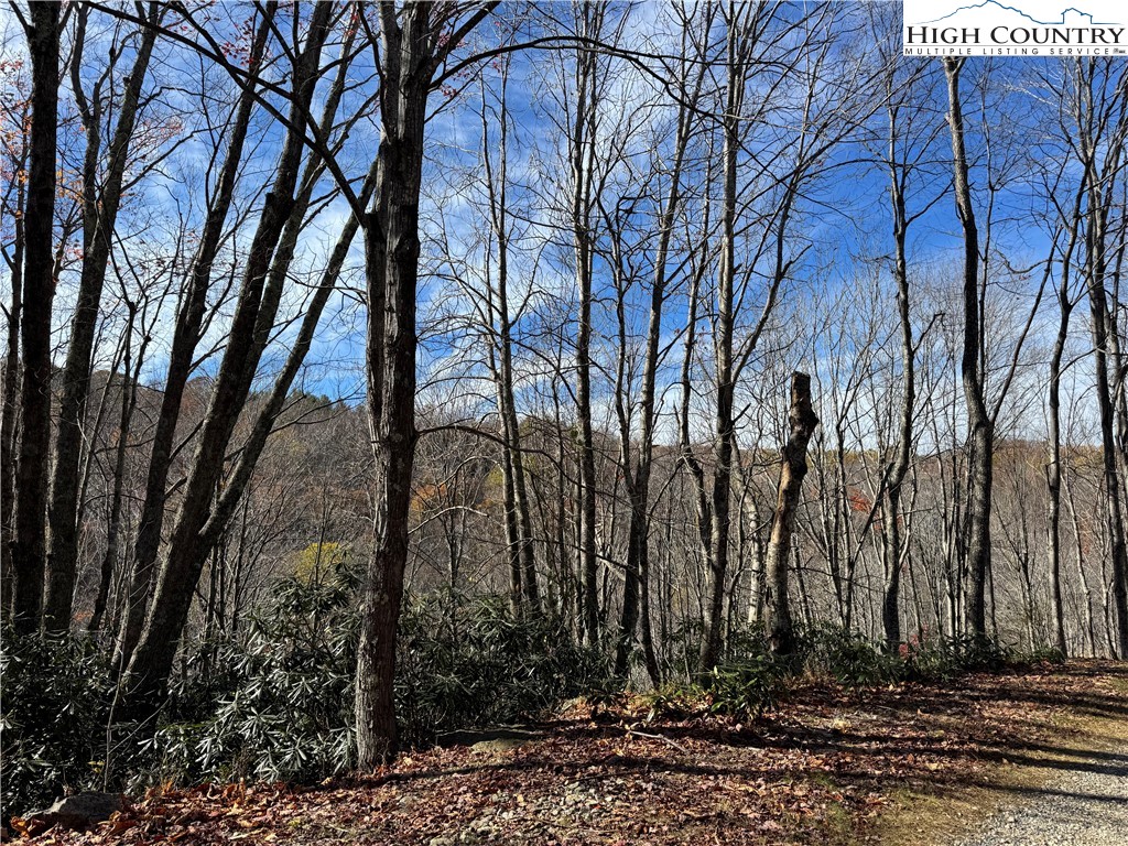 Tbd Lot #19 Ridgecrest Circle Property Photo 5