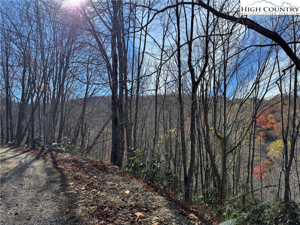 Tbd Lot #19 Ridgecrest Circle Property Photo 6