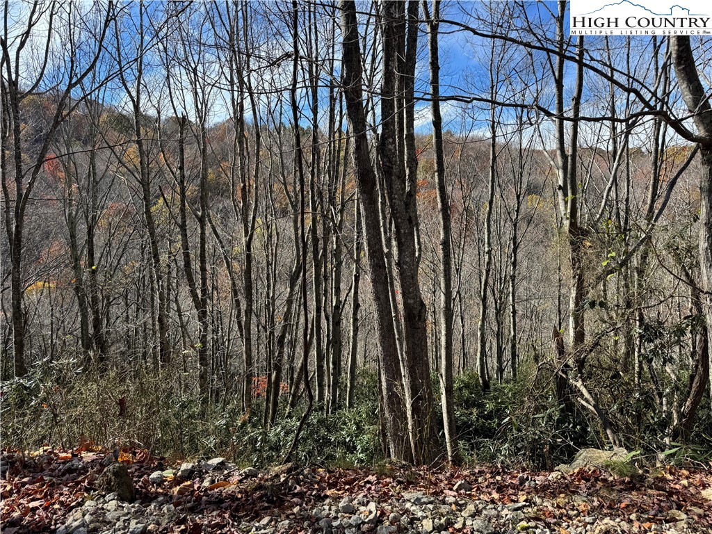 Tbd Lot #19 Ridgecrest Circle Property Photo 7