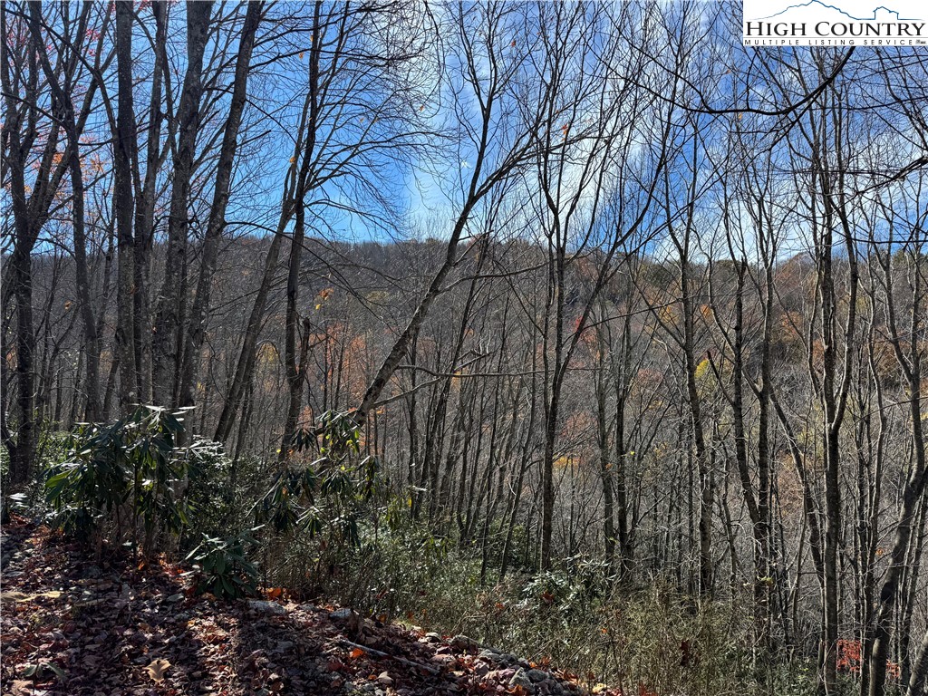 Tbd Lot #19 Ridgecrest Circle Property Photo 8
