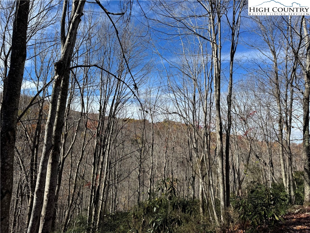 Tbd Lot #19 Ridgecrest Circle Property Photo 9
