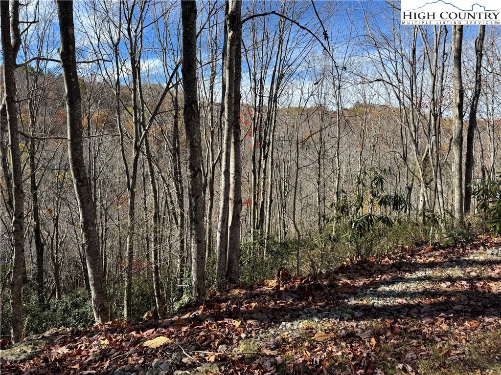 Tbd Lot #19 Ridgecrest Circle Property Photo 10