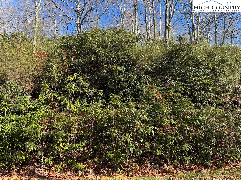 Tbd Lot #19 Ridgecrest Circle Property Photo 11