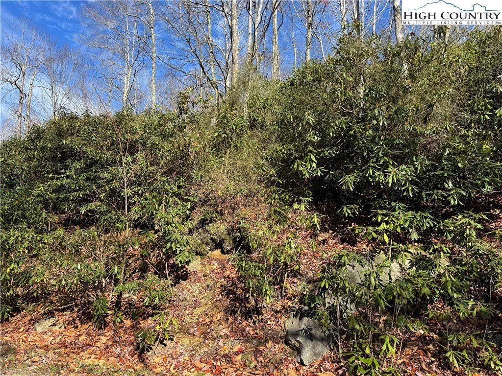 Tbd Lot #19 Ridgecrest Circle Property Photo 12