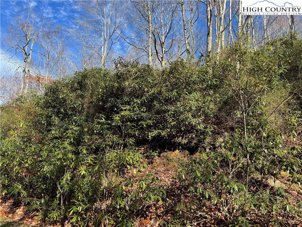Tbd Lot #19 Ridgecrest Circle Property Photo 13