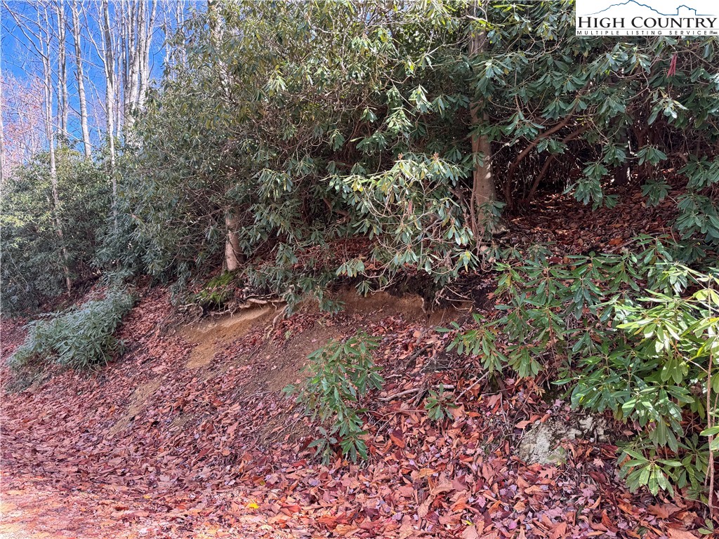Tbd Lot #19 Ridgecrest Circle Property Photo 14