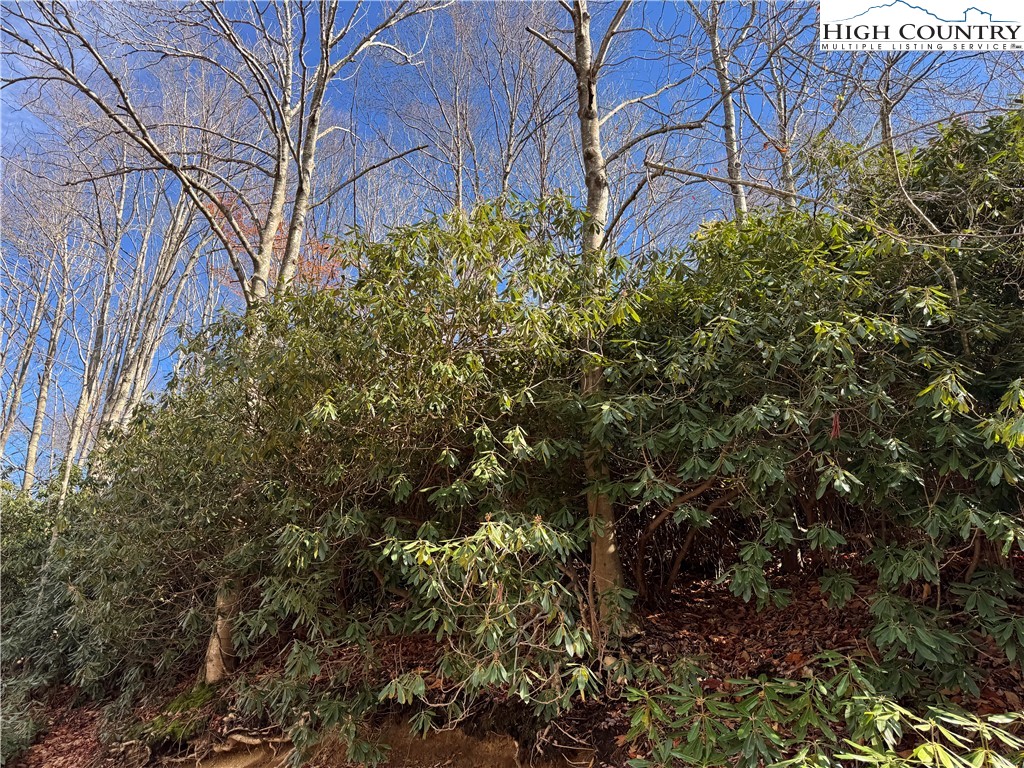 Tbd Lot #19 Ridgecrest Circle Property Photo 15