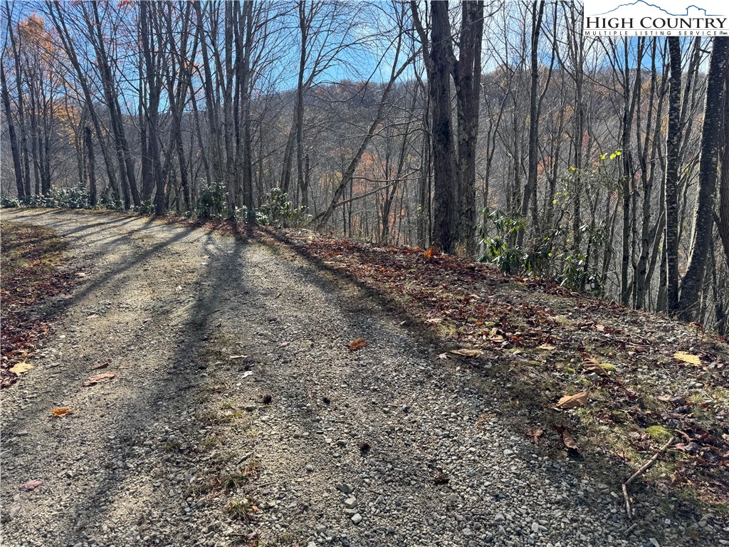 Tbd Lot #19 Ridgecrest Circle Property Photo 16