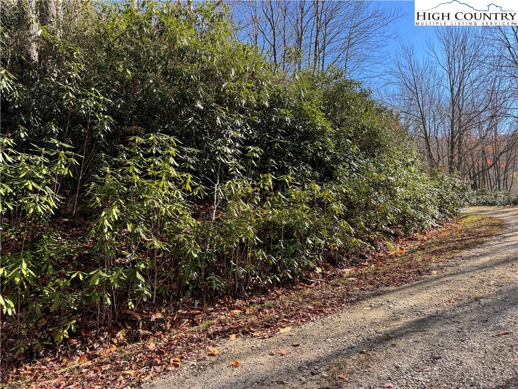 Tbd Lot #19 Ridgecrest Circle Property Photo 17