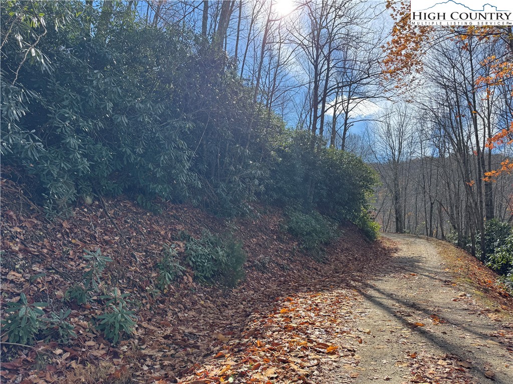 Tbd Lot #19 Ridgecrest Circle Property Photo 18
