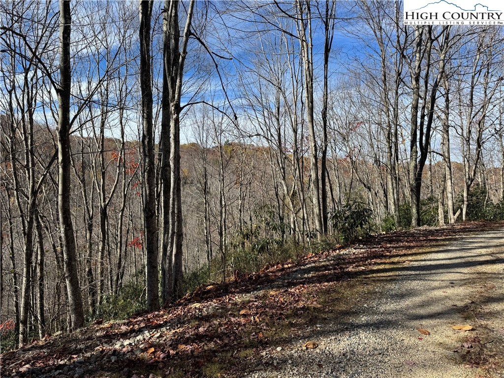 Tbd Lot #19 Ridgecrest Circle Property Photo 19
