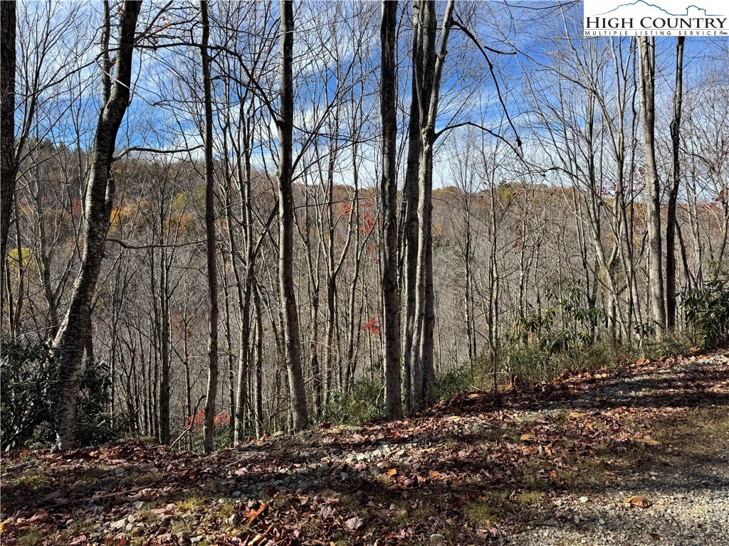 Tbd Lot #19 Ridgecrest Circle Property Photo 20