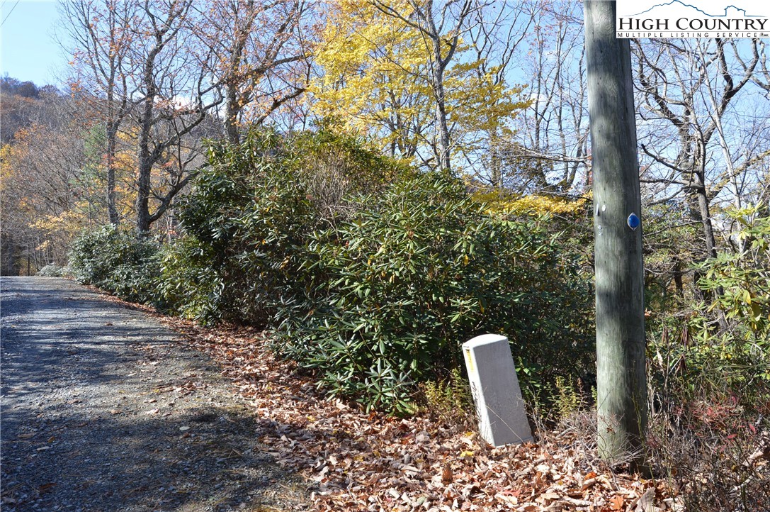 Lot #4 Roger's Green Mountain Property Photo 1
