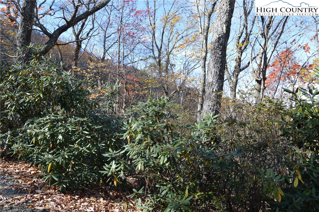Lot #4 Roger's Green Mountain Property Photo 3