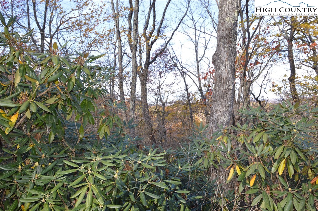 Lot #4 Roger's Green Mountain Property Photo 4