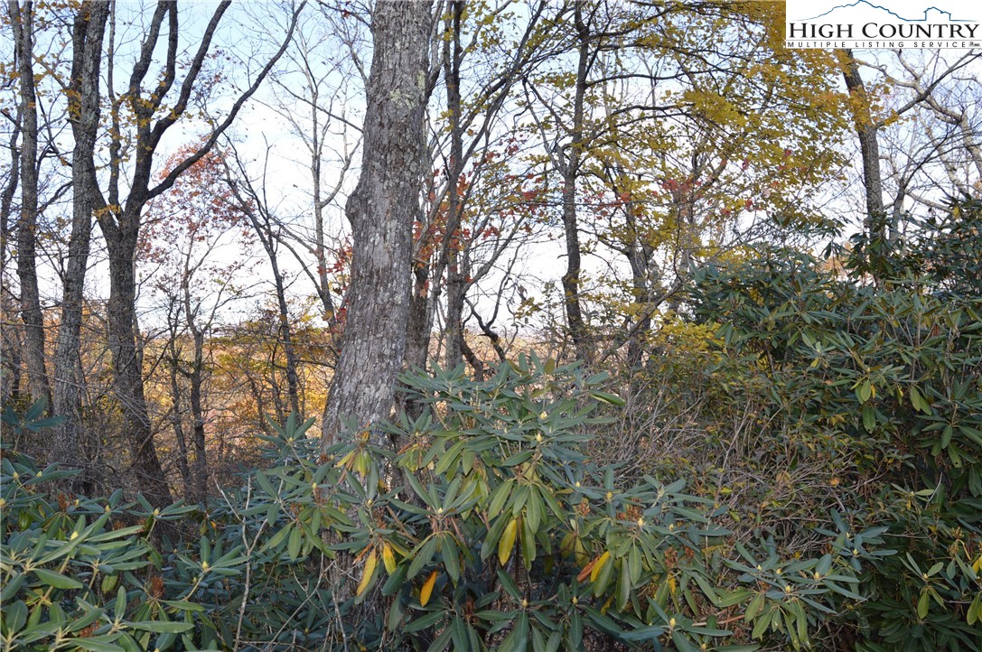 Lot #4 Roger's Green Mountain Property Photo 5