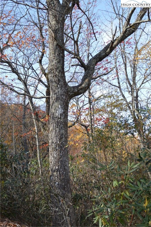 Lot #4 Roger's Green Mountain Property Photo 6