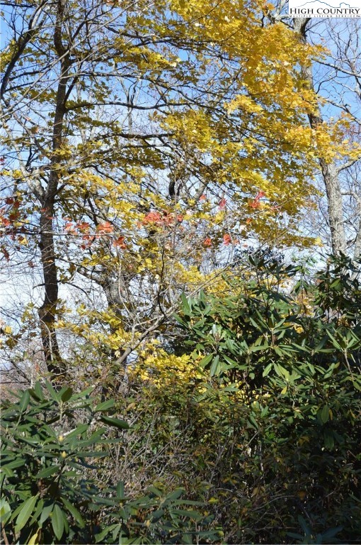 Lot #4 Roger's Green Mountain Property Photo 7