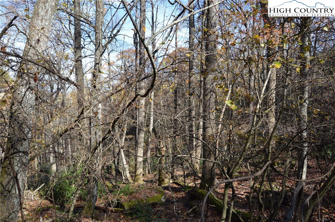 Lot #4 Roger's Green Mountain Property Photo 8