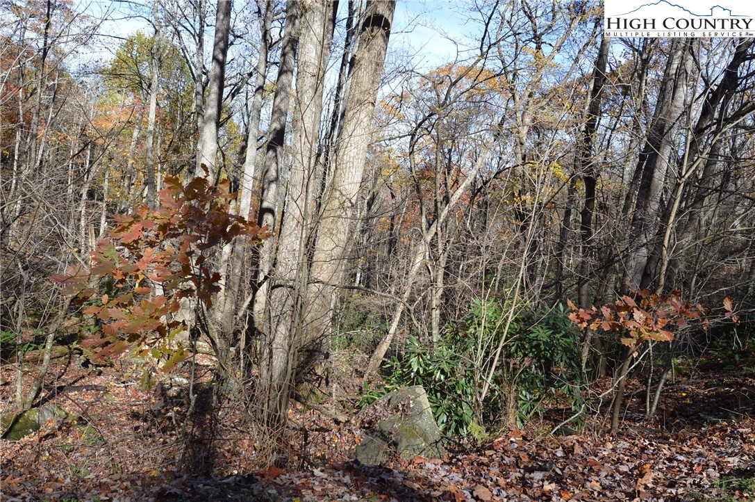 Lot #4 Roger's Green Mountain Property Photo 9