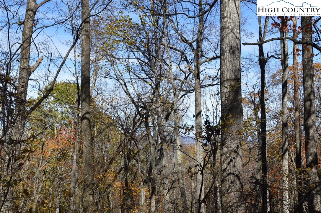 Lot #4 Roger's Green Mountain Property Photo 10