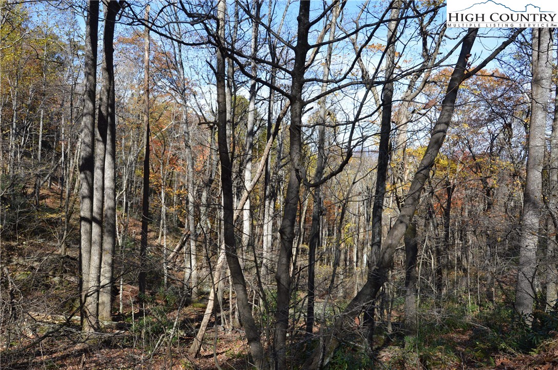 Lot #4 Roger's Green Mountain Property Photo 11