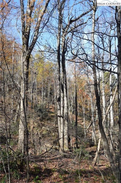 Lot #4 Roger's Green Mountain Property Photo 12