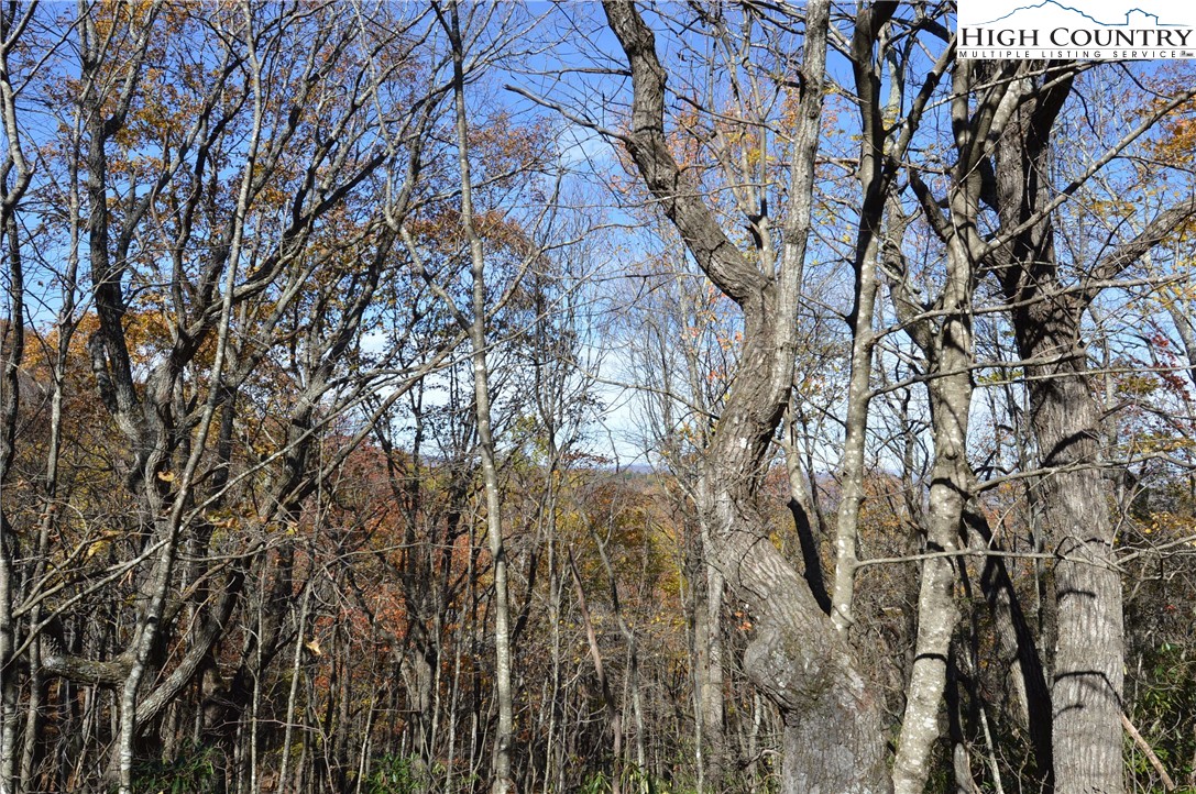 Lot #4 Roger's Green Mountain Property Photo 13