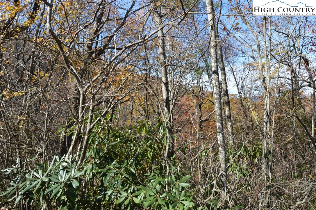 Lot #4 Roger's Green Mountain Property Photo 14