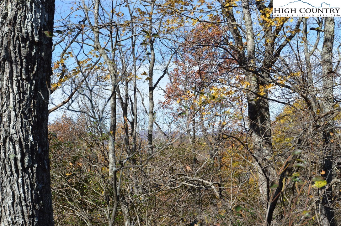 Lot #4 Roger's Green Mountain Property Photo 15