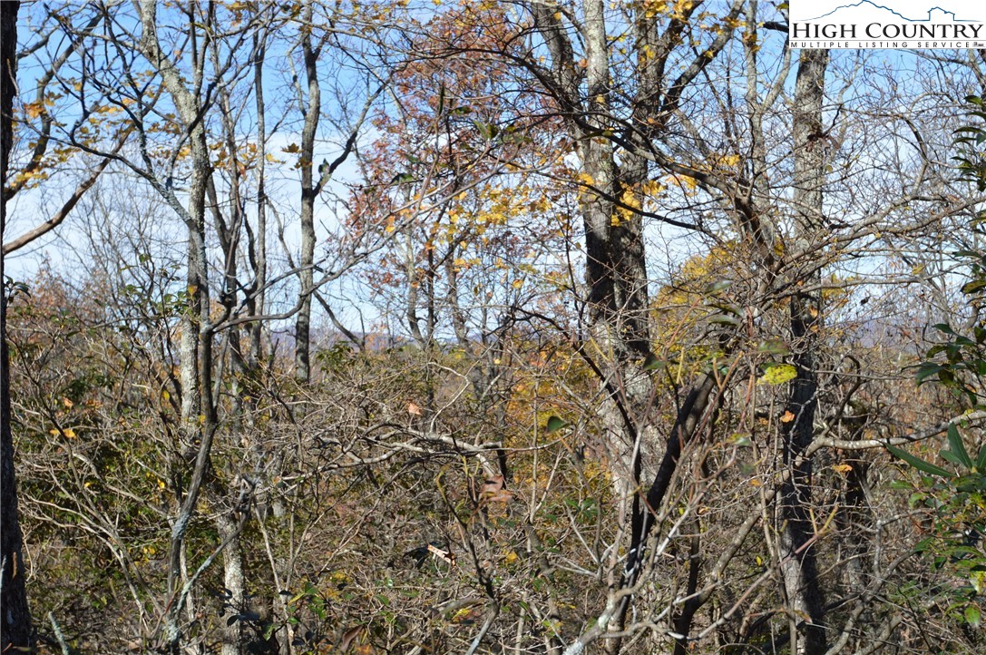 Lot #4 Roger's Green Mountain Property Photo 16