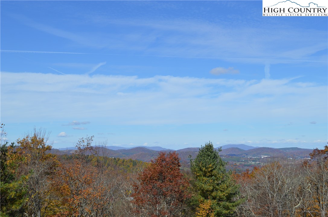 Lot #4 Roger's Green Mountain Property Photo 18