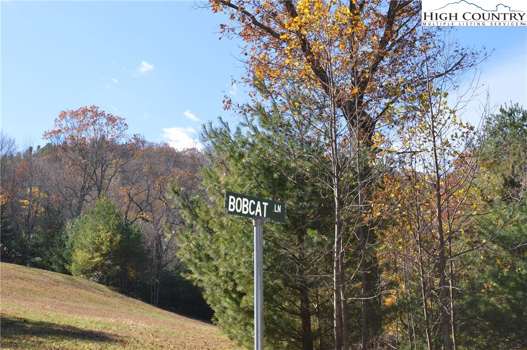 Lot #4 Roger's Green Mountain Property Photo 19