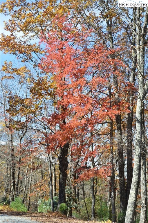 Lot #4 Roger's Green Mountain Property Photo 20