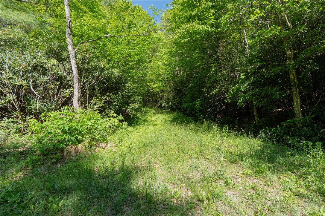 Tbd Black Bear Trail Property Photo 2