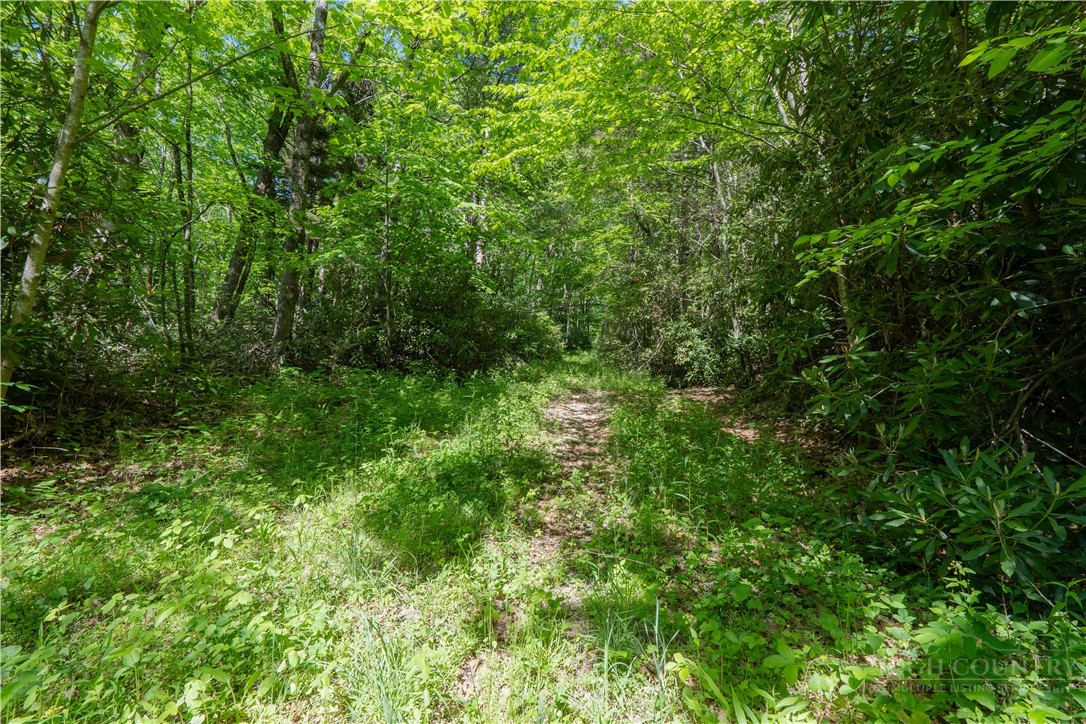 Tbd Black Bear Trail Property Photo 4