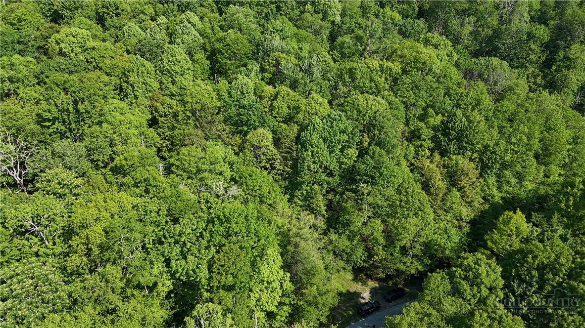 Tbd Black Bear Trail Property Photo 5