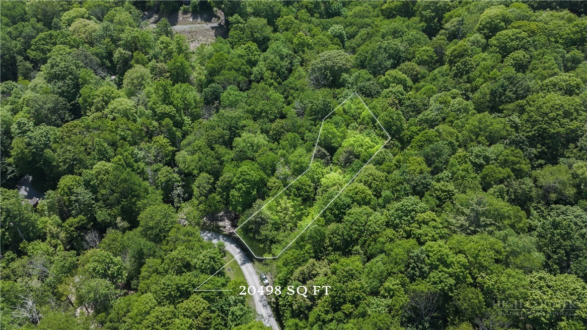 Tbd Black Bear Trail Property Photo 6